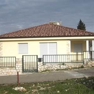 Lucerne 102
